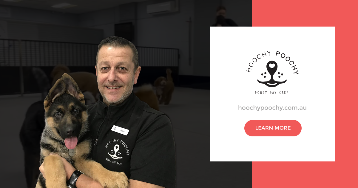 Hoochy Poochy Doggy Day Care - Abbotsford Venue